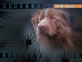 'Good Boy' (film review)